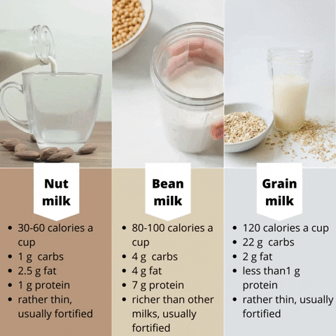 brighdereed giphyupload GIF