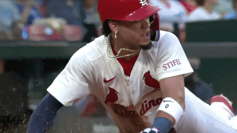 Yelling St Louis Cardinals GIF by MLB