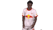 Red Bull Sport Sticker by FC Red Bull Salzburg