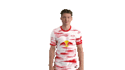 Football Soccer Sticker by RB Leipzig