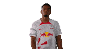 Red Bull Football Sticker by RB Leipzig