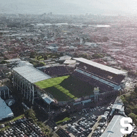 costa rica tibas GIF by Deportivo Saprissa