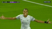 Happy Lets Go GIF by National Women's Soccer League
