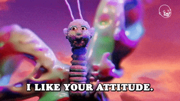 I Like Your Attitude