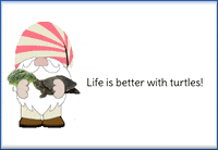 Gnome Turtles GIF