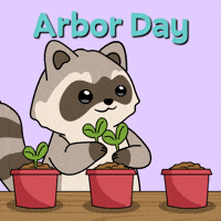 Arbor Day Bitcoin GIF by Ordinary Frends