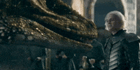 Aegon Targaryen House GIF