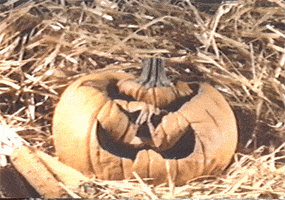 Jack O Lantern Halloween GIF