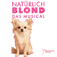 First Stage Sticker by Stage School Hamburg