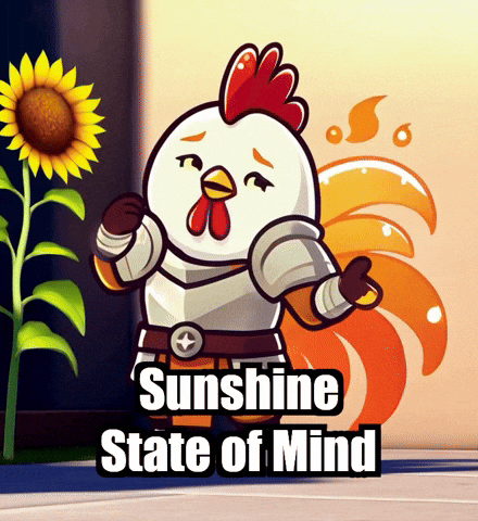 Summer Sun GIF by Zorooster