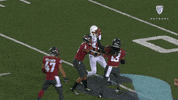 Football Celebration GIF by Pac-12 Network