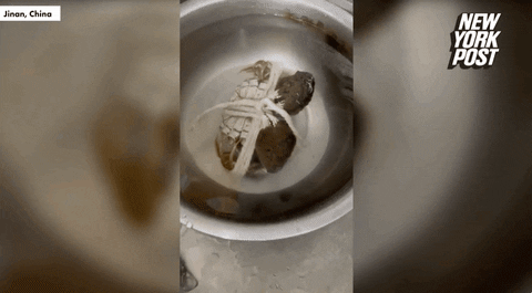 loveeyo giphyupload GIF