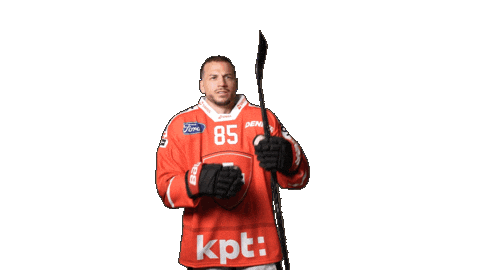 Celebrate National Team Sticker by Swiss Ice Hockey