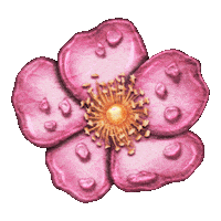 tigirlilygold flowers spring country music ring Sticker