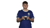 Fifa Wtf Sticker by Bundesliga