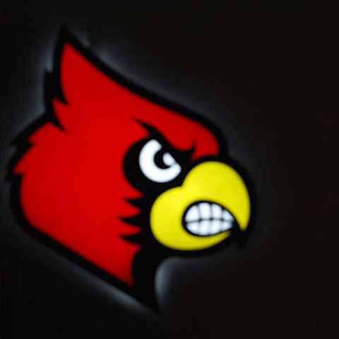 University Of Louisville GIF by Louisville Cardinals