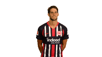 Eintracht Frankfurt Wtf Sticker by Bundesliga
