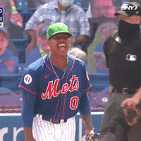 Celebrate New York Mets GIF by SNY