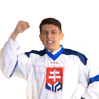 hockey yes Sticker by Pilsner Urquell