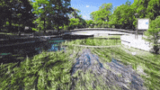 san marcos river GIF by Texas State Football