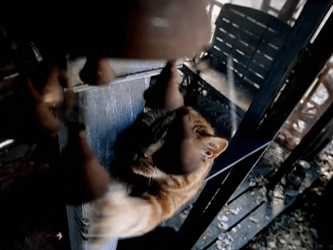 Big Boi GIF by Outkast