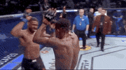 Sport Mma GIF by UFC