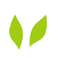 Plant Leaf Sticker by True Botanicals