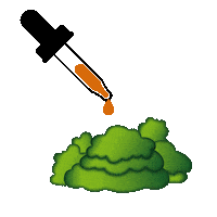 Oil Bush Sticker by True Botanicals