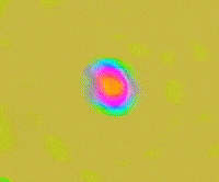 Toro GIF by Remi Wolf