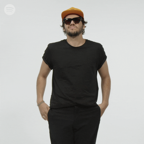 nvdes shrug GIF by Spotify