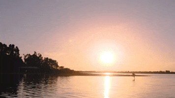Beach Sun GIF by FIU