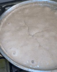 Rice Porridge Oats GIF