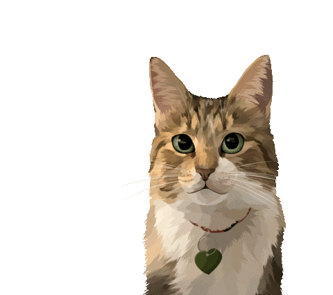 Cat Pet Sticker by Watertown Humane Society