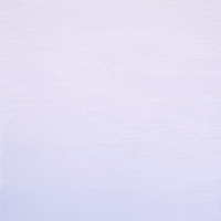 Texas Tech Ncaa GIF by Texas Tech Baseball