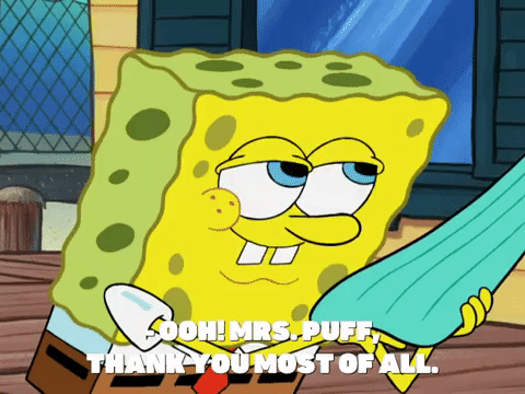 season 8 GIF by SpongeBob SquarePants