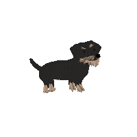 Pierre Sticker by Andrea Caceres