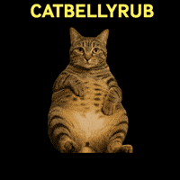 Cat GIF by Lasca Fox