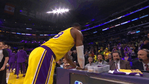lebron james lakers GIF by NBA