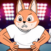 Lets Go Wwe GIF by Raposa Coffee