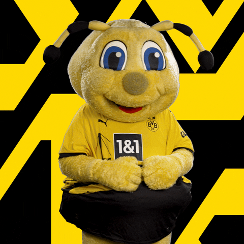 Soccer Futbol GIF by Borussia Dortmund