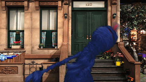 grover GIF by Sesame Street