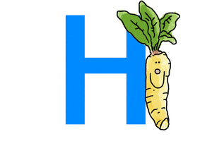 h alphabet GIF by Salad for President