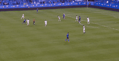 save andre blake GIF by Philadelphia Union