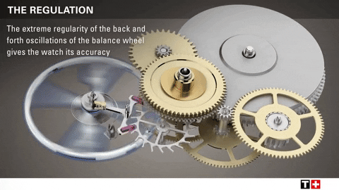 whichwatchnext giphyupload GIF