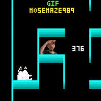 Maze 989 Mose GIF