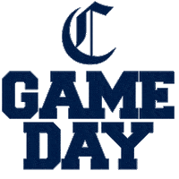 Vibes Gameday Sticker by Collecchio Baseball Softball