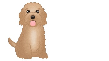Happy Dog Goldendoodle Sticker by zoopeez