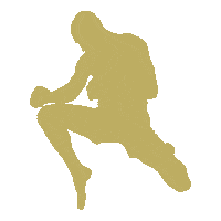 Bellator Mma Borics Sticker by Branding PAPP