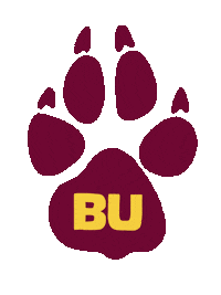 College University Sticker