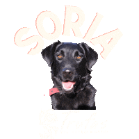 Trufa Blacktruffle Sticker by Trufas del Nuevo Mundo
